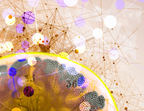 Personnalités atypiques – Ressources